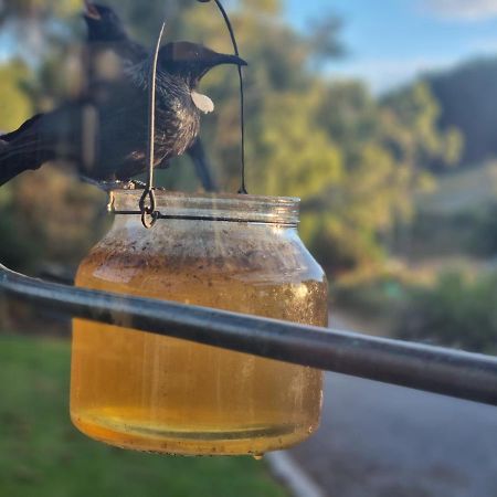 Catlins Lake Sanctuary Owaka Экстерьер фото